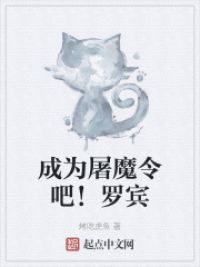 成为屠魔令吧！罗宾